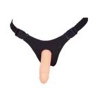 16246431063387_thumb